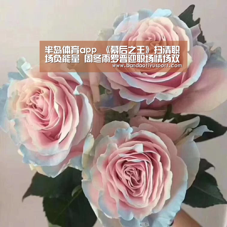 半岛体育app_《幕后之王》扫清职场负能量 周冬雨罗晋迎职场情场双重挑战(图2) 半岛体育app官网