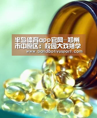 半岛体育app官网