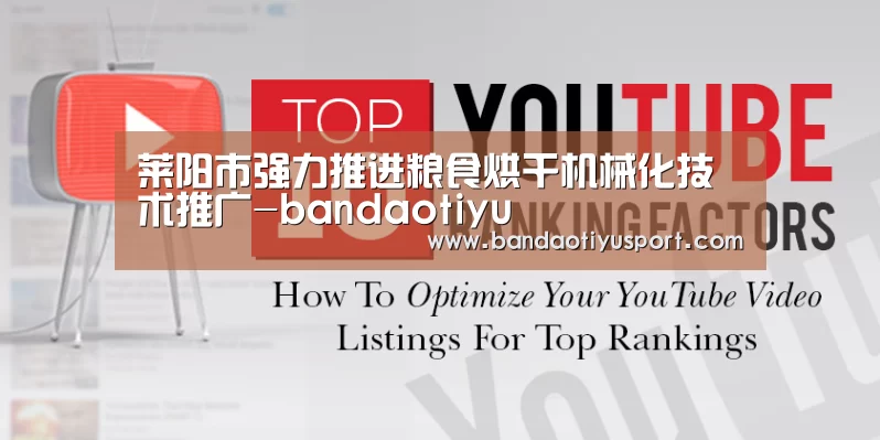 莱阳市强力推进粮食烘干机械化技术推广-bandaotiyu(图3)