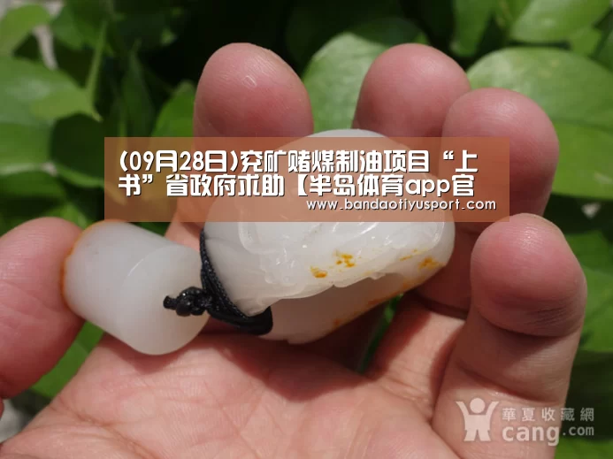 半岛体育app官网