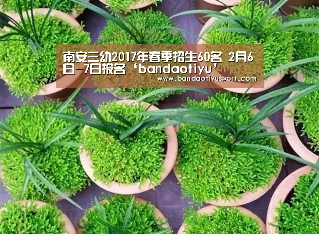 半岛体育官网首页