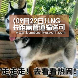 (09月22日)LNG长距离管道输送可行性分析_半岛体育官网首页(图1)
