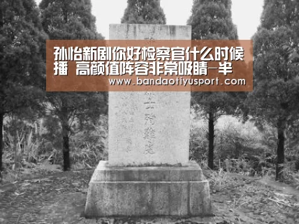 孙怡新剧你好检察官什么时候播 高颜值阵容非常吸睛-半岛体育app官网(图1)