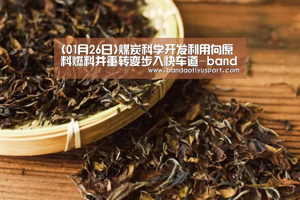 半岛体育app