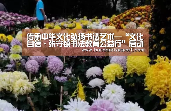 半岛体育app